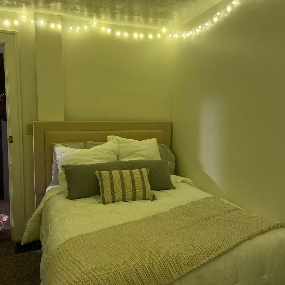 Pottery Barn White Comforter + Euro Shams